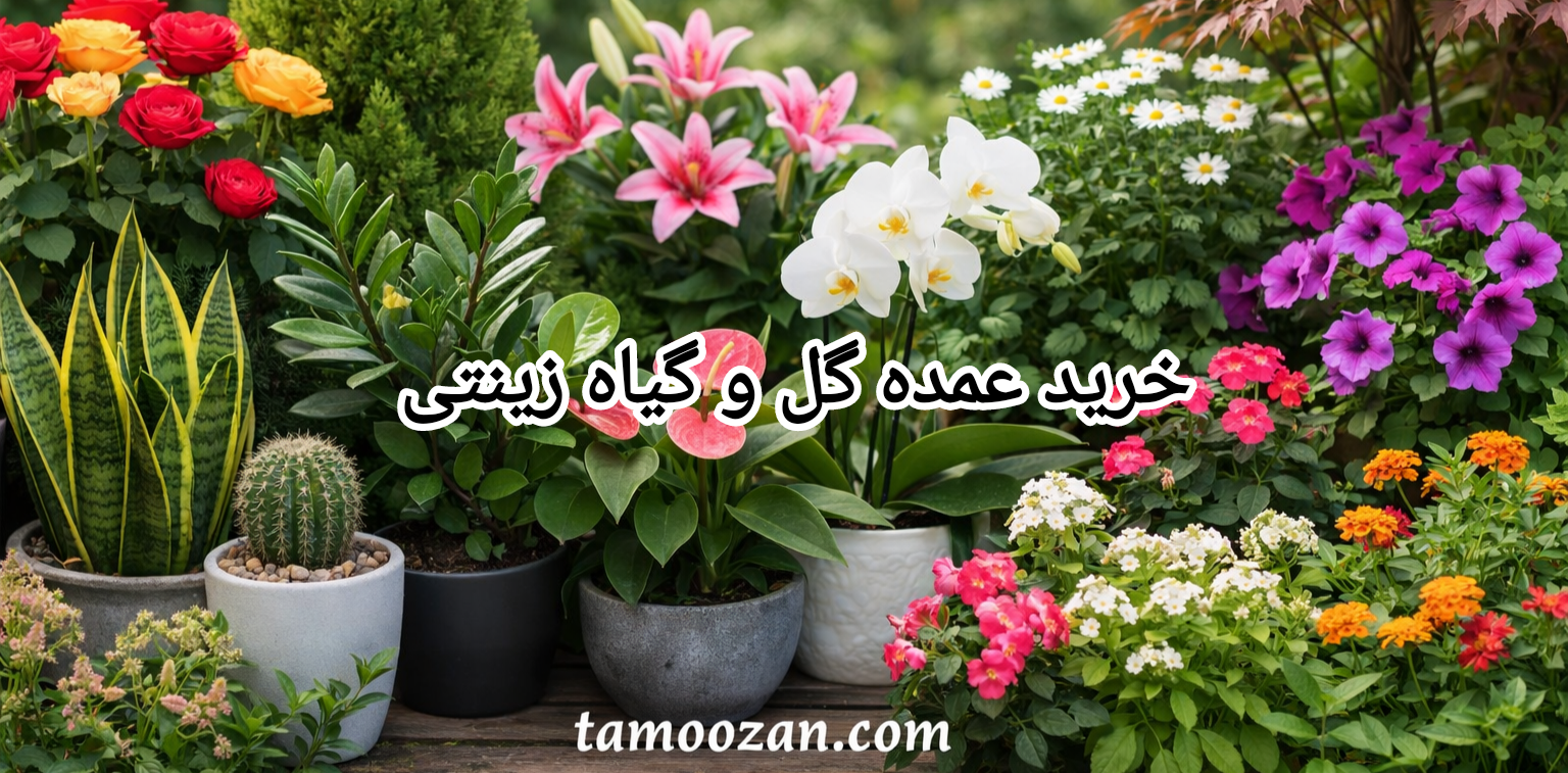 خرید عمده گل و گیاه زینتی تموزان