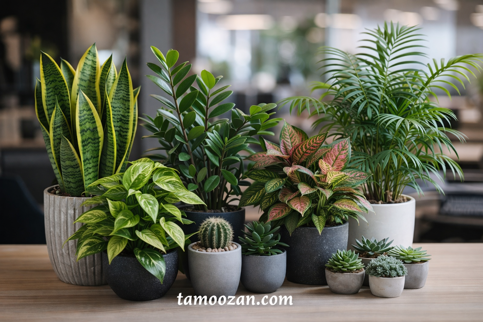 در این مقاله از تموزان، میخواهیم بررسی کنیم که چرا این نوع گیاهان برای فضاهای پرتردد ترجیح داده میشوند و چه گزینههایی برای شما مناسبترند.