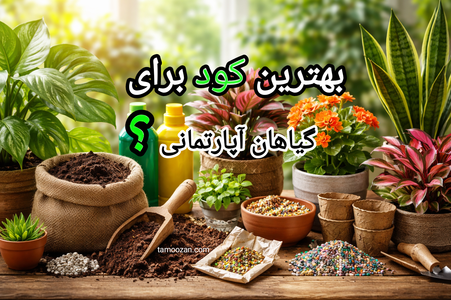 بهترین کود برای گیاهان آپارتمانی | راهنمای خرید و مصرف اصولی