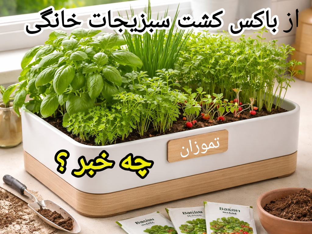 با باکس-سبزیجات-خانگی-تموزان کشاورزی را به خانه ببرید