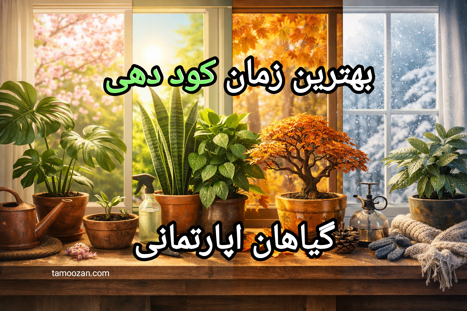 بهترین زمان کوددهی گیاهان آپارتمانی | برنامه اصولی فصل‌به‌فصل