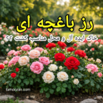 خاک مناسب و محل کاشت صحیح، زیربنای موفقیت در پرورش رز باغچه‌ای است. با فراهم کردن بستر استاندارد، رز شما سالم‌تر، پرگل‌تر و مقاوم‌تر است