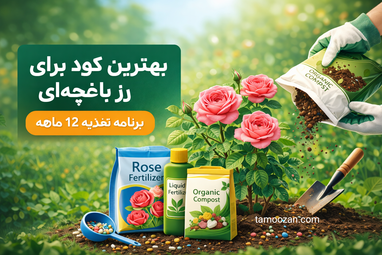 بهترین کود برای رز باغچهای | برنامه تغذیه حرفهای برای گلدهی حداکثری