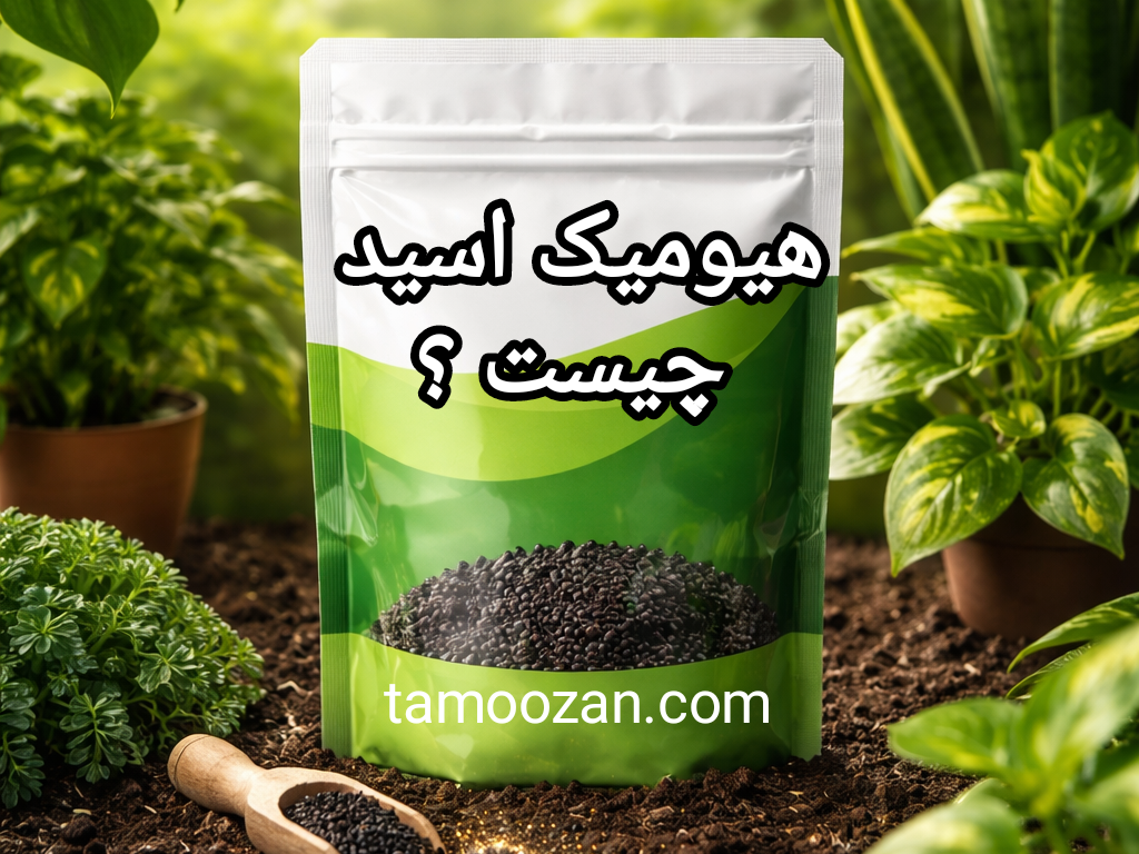 کود هیومیک اسید چیست و چه کاربردی برای گیاهان آپارتمانی دارد؟