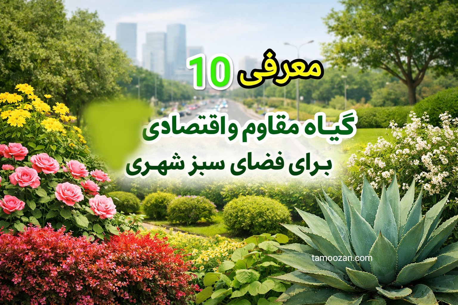 معرفی ۱۰ گیاه پولساز مناسب پروژه‌های فضای سبز شهری