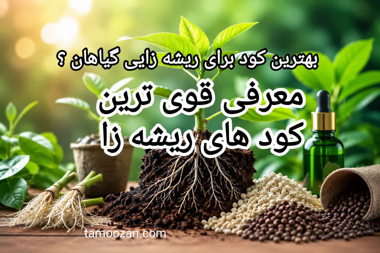 بهترین کود برای ریشه زایی گیاهان
