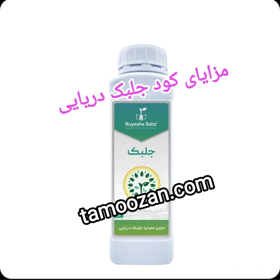مزایای کود جلبک دریایی برای گیاهان | چرا کشاورزان حرفه‌ای از کود جلبک استفاده می‌کنند؟