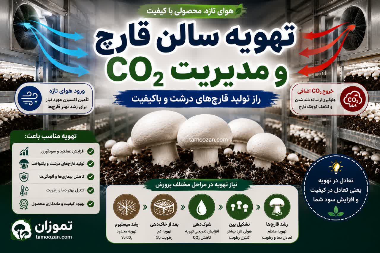 اصول تهویه سالن قارچ