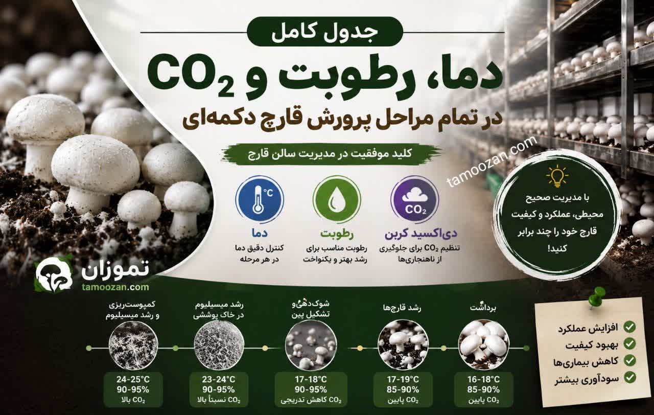 جدول کامل دما، رطوبت و CO₂ در تمام مراحل پرورش قارچ دکمه‌ای را همراه با علائم و عوارض تنظیم نادرست شرایط محیطی و نکات کاربردی مدیریت سالن مطالعه کنید.