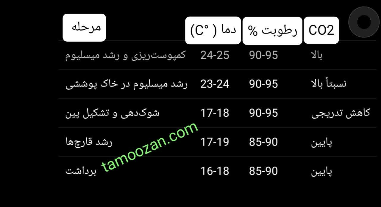 جدول شرایط محیطی پرورش قارچ دکمه ای