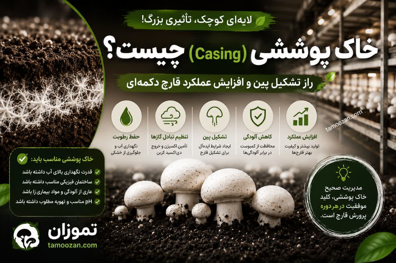 خاک پوششی چیست ؟