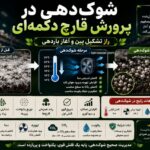شوک‌دهی (Shock) در پرورش قارچ دکمه‌ای چیست؟ راهنمای کامل تحریک تشکیل پین و آغاز باردهی