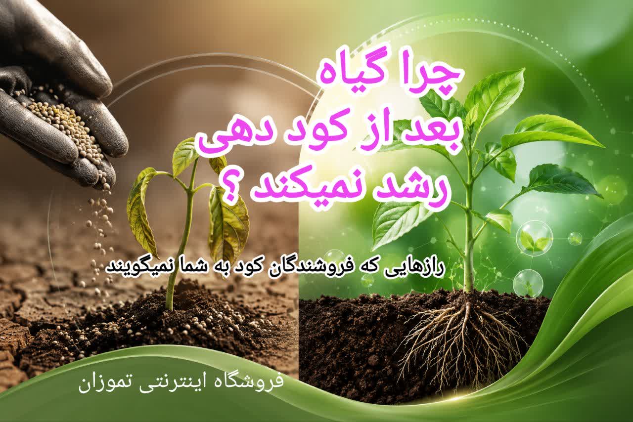 چرا گیاه بعد از کوددهی رشد نمی‌کند؟