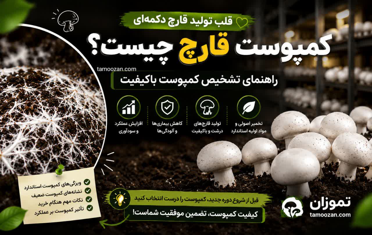 کمپوست قارچ چیست و چگونه کیفیت آن را تشخیص دهیم؟ با ویژگی‌های کمپوست استاندارد، نشانه‌های کمپوست ضعیف و نکات مهم خرید کمپوست پرورش قارچ دکمه‌ای آشنا شوید.