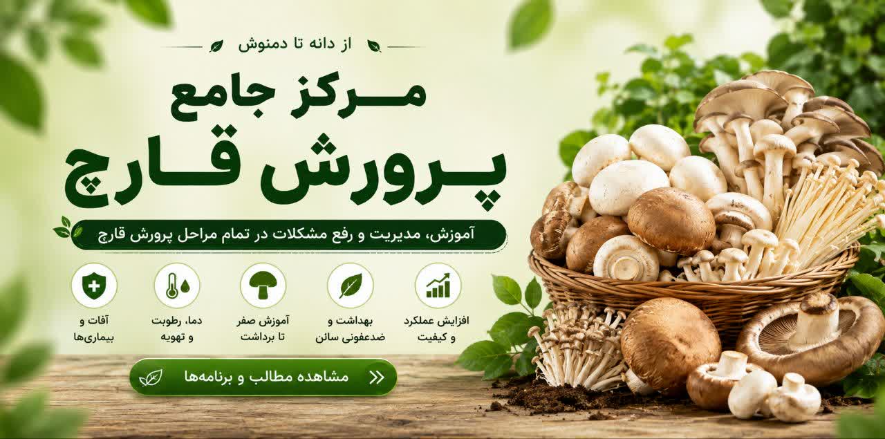 مرکز جامع پرورش قارچ تموزان در مدیریت و رفع مشکلات پرورش قارچ کمکت میکنه .