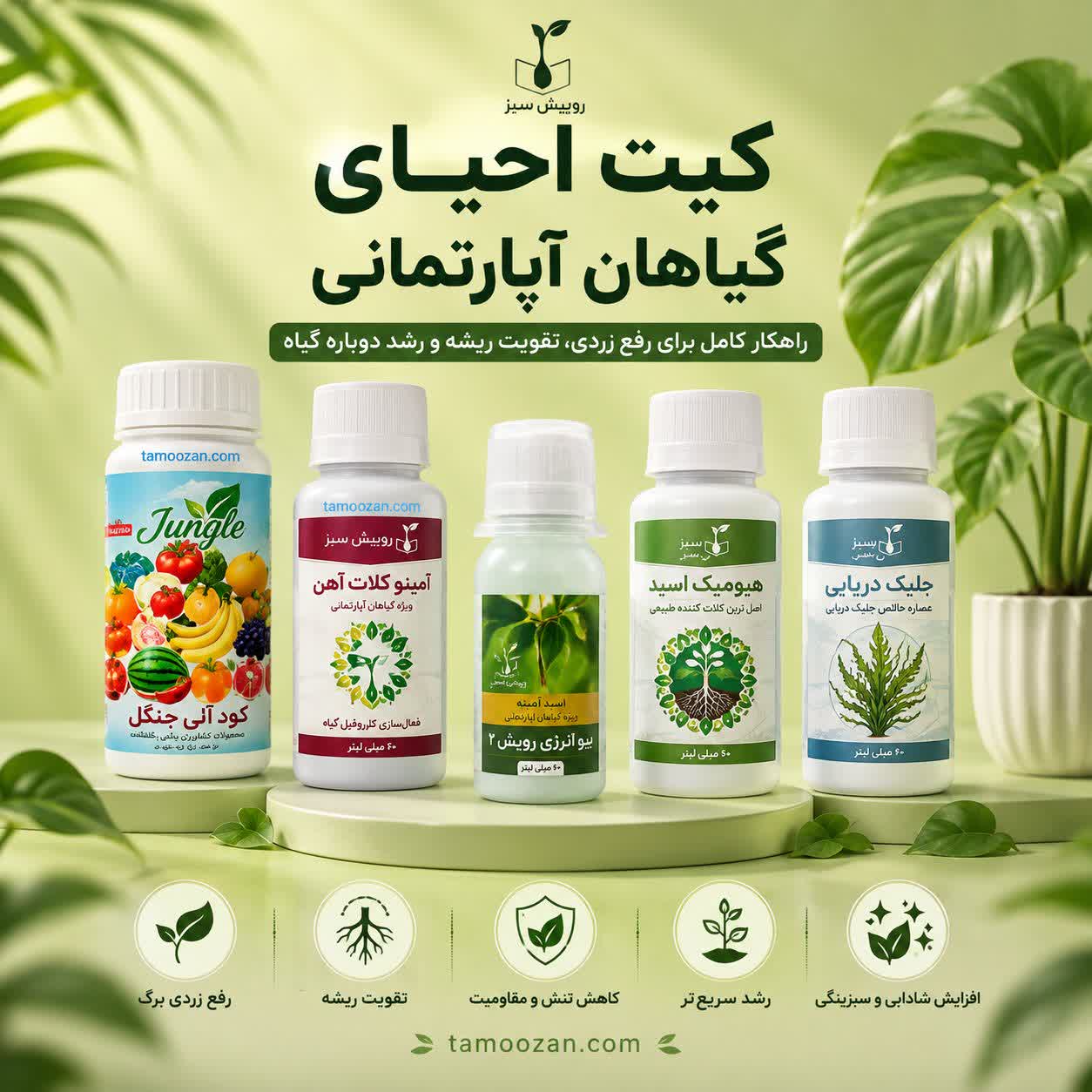 کیت احیای گیاهان آپارتمانی تموزان | مجموعه کامل تقویت ریشه، رفع زردی و رشد گیاه